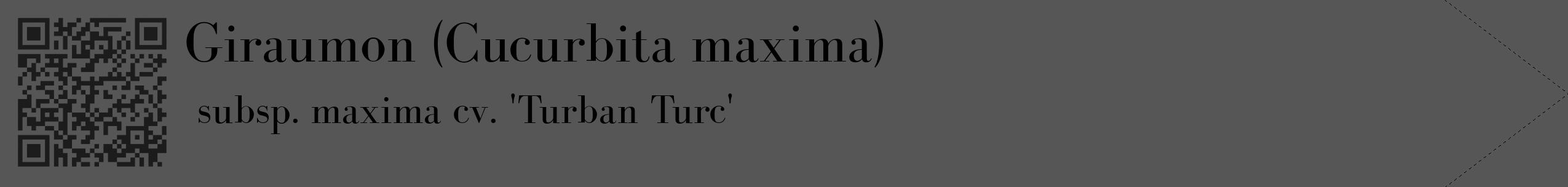 Étiquette de : Cucurbita maxima subsp. maxima cv. 'Turban Turc' - format c - style noire45_simple_simplebod avec qrcode et comestibilité