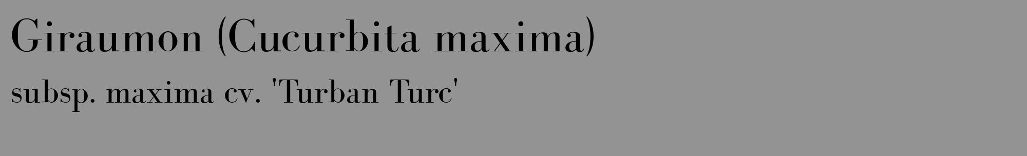 Étiquette de : Cucurbita maxima subsp. maxima cv. 'Turban Turc' - format c - style noire44_basique_basiquebod avec comestibilité