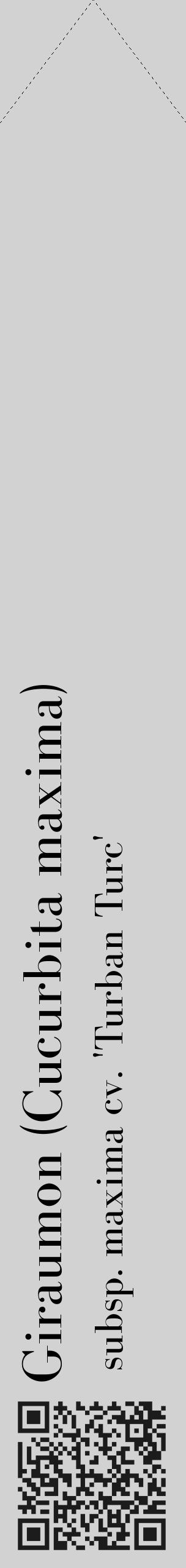 Étiquette de : Cucurbita maxima subsp. maxima cv. 'Turban Turc' - format c - style noire14_simple_simplebod avec qrcode et comestibilité - position verticale