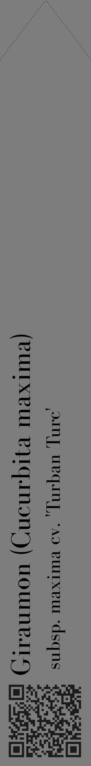 Étiquette de : Cucurbita maxima subsp. maxima cv. 'Turban Turc' - format c - style noire35_simple_simplebod avec qrcode et comestibilité - position verticale