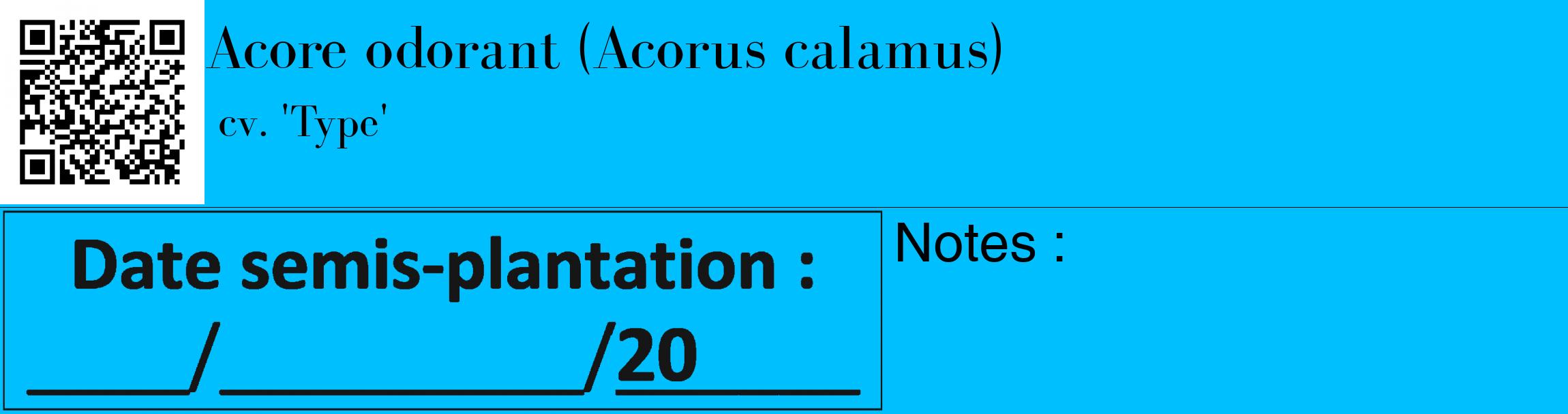 Étiquette de : Acorus calamus cv. 'Type' - format c - style noire2_basique_basiquebod avec qrcode et comestibilité
