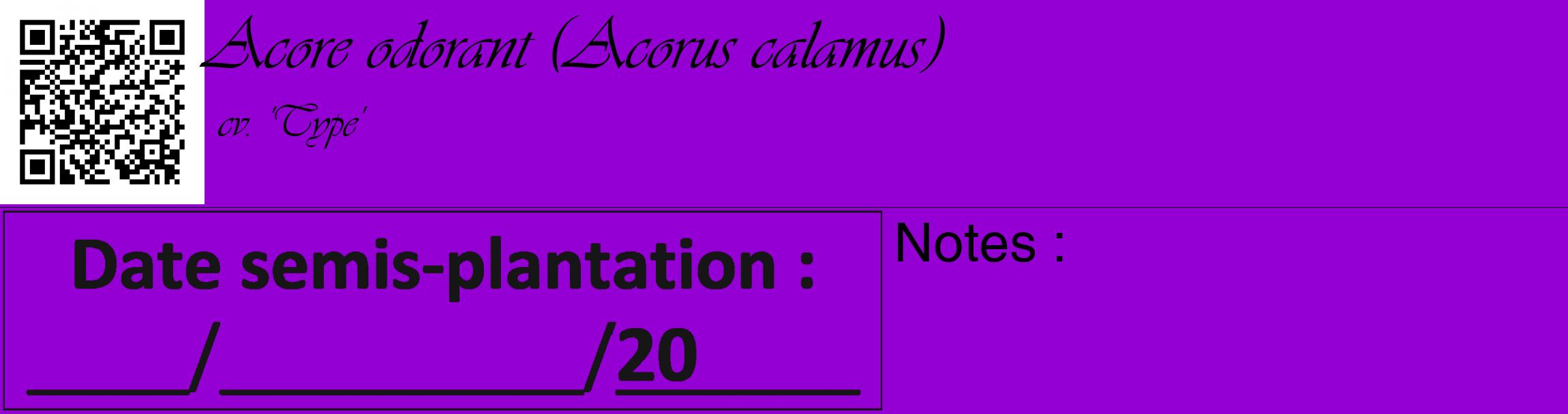 Étiquette de : Acorus calamus cv. 'Type' - format c - style noire48_basique_basiqueviv avec qrcode et comestibilité