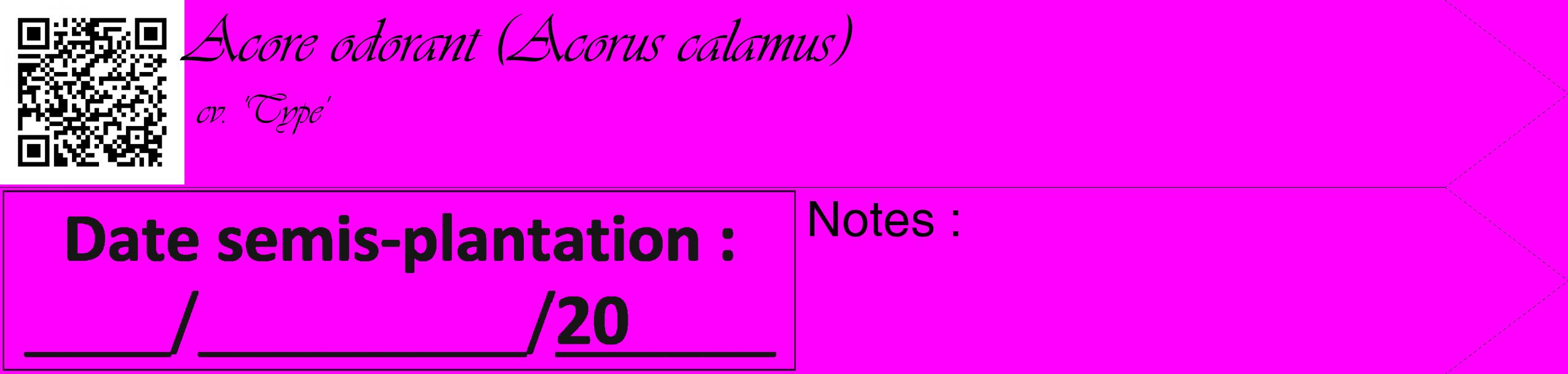 Étiquette de : Acorus calamus cv. 'Type' - format c - style noire51_simple_simpleviv avec qrcode et comestibilité