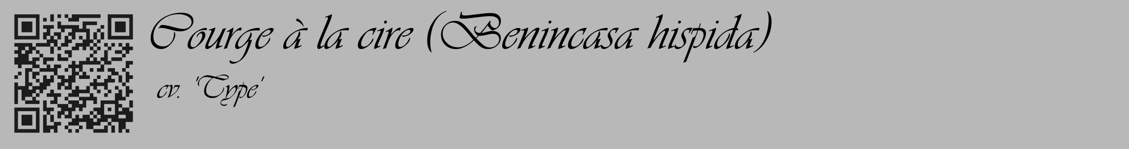 Étiquette de : Benincasa hispida cv. 'Type' - format c - style noire39_basique_basiqueviv avec qrcode et comestibilité