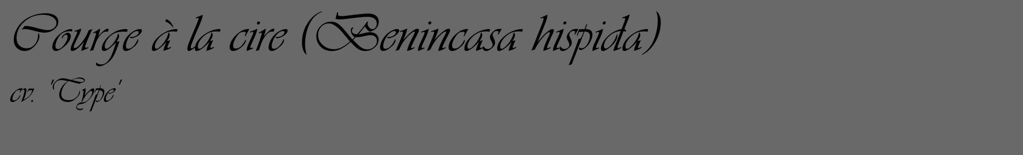 Étiquette de : Benincasa hispida cv. 'Type' - format c - style noire11_basique_basiqueviv avec comestibilité