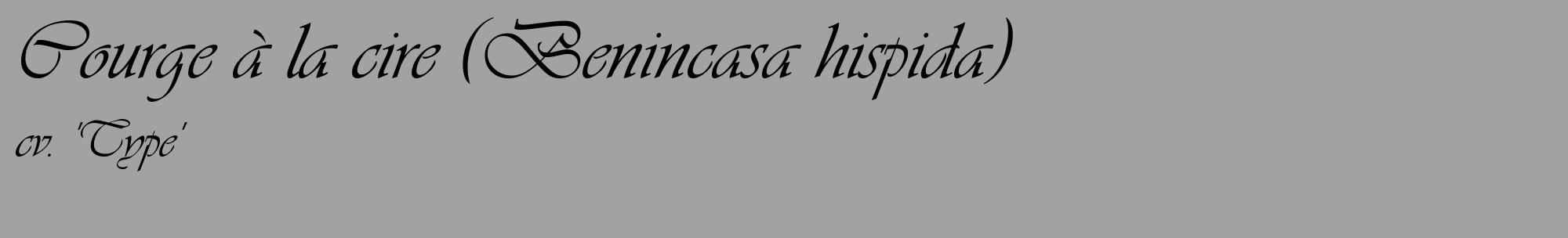 Étiquette de : Benincasa hispida cv. 'Type' - format c - style noire38_basique_basiqueviv avec comestibilité