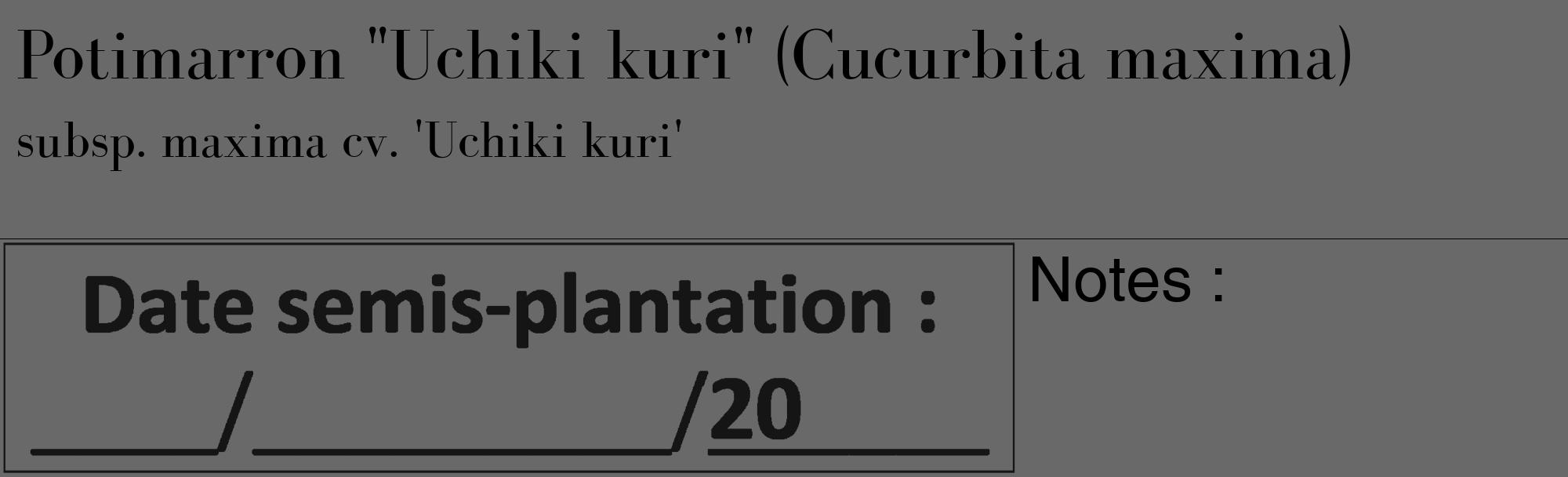 Étiquette de : Cucurbita maxima subsp. maxima cv. 'Uchiki kuri' - format c - style noire51_basique_basiquebod avec comestibilité