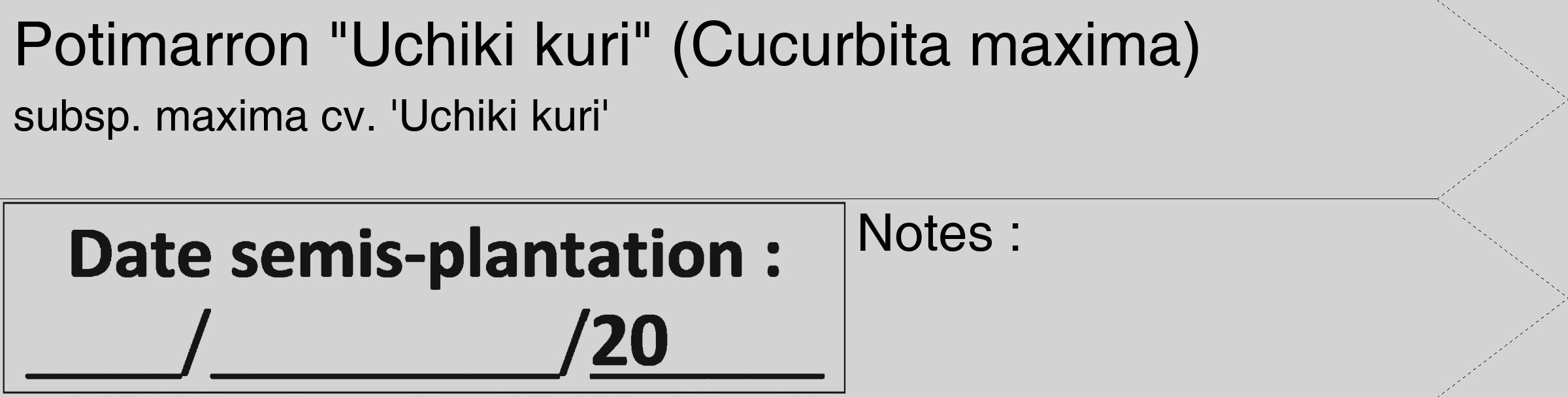 Étiquette de : Cucurbita maxima subsp. maxima cv. 'Uchiki kuri' - format c - style noire56_simple_simplehel avec comestibilité