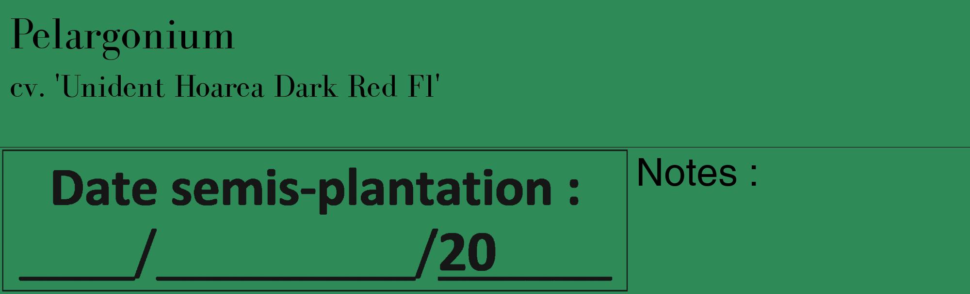 Étiquette de : Pelargonium cv. 'Unident Hoarea Dark Red Fl' - format c - style noire11_basique_basiquebod avec comestibilité