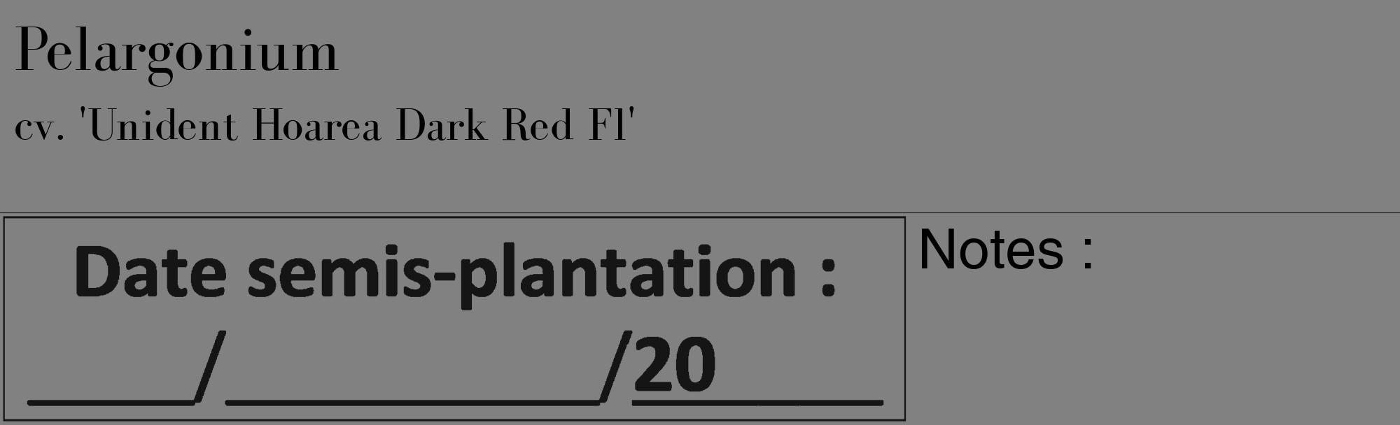 Étiquette de : Pelargonium cv. 'Unident Hoarea Dark Red Fl' - format c - style noire50_basique_basiquebod avec comestibilité