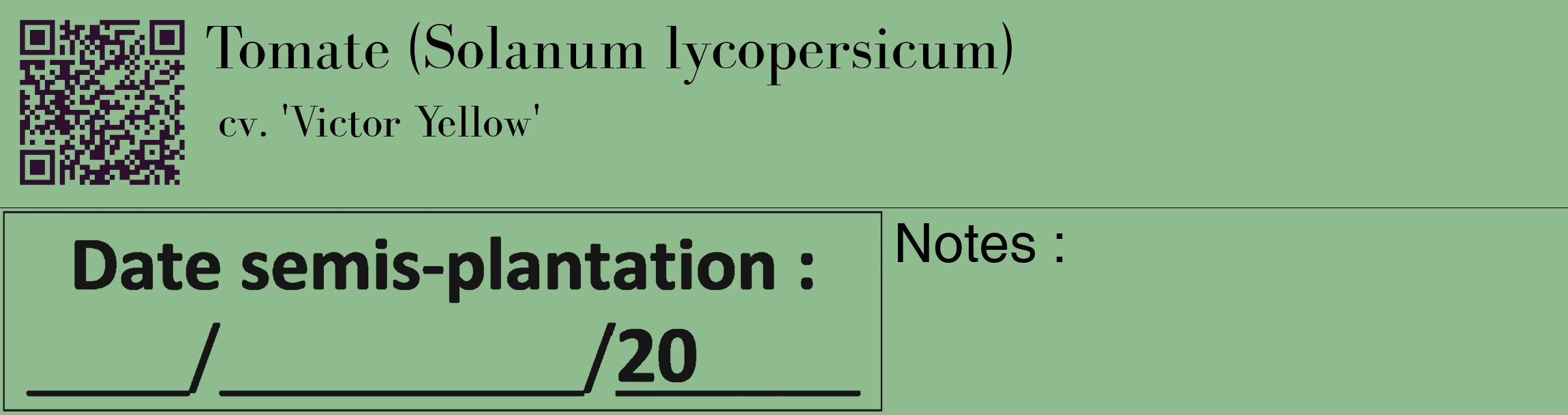 Étiquette de : Solanum lycopersicum cv. 'Victor Yellow' - format c - style noire13_basique_basiquebod avec qrcode et comestibilité