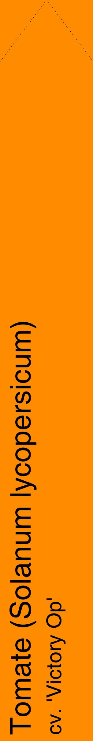 Étiquette de : Solanum lycopersicum cv. 'Victory Op' - format c - style noire23_simplehel avec comestibilité