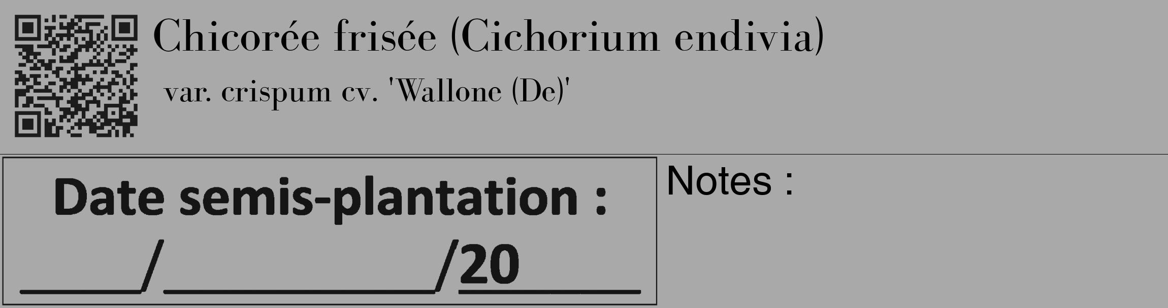Étiquette de : Cichorium endivia var. crispum cv. 'Wallone (De)' - format c - style noire13_basique_basiquebod avec qrcode et comestibilité