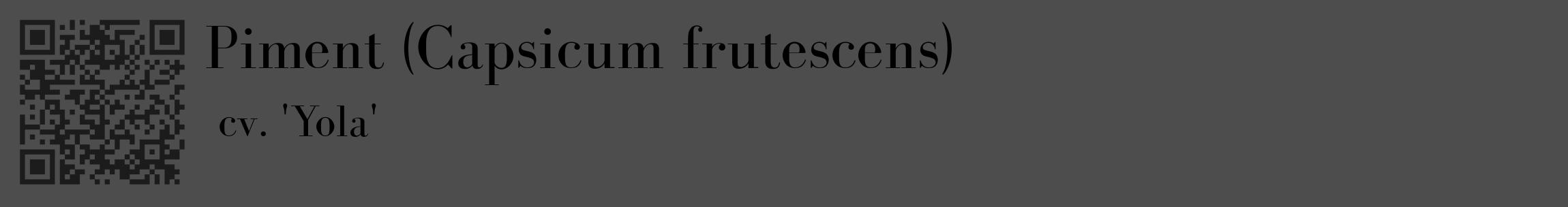 Étiquette de : Capsicum frutescens cv. 'Yola' - format c - style noire28_basique_basiquebod avec qrcode et comestibilité
