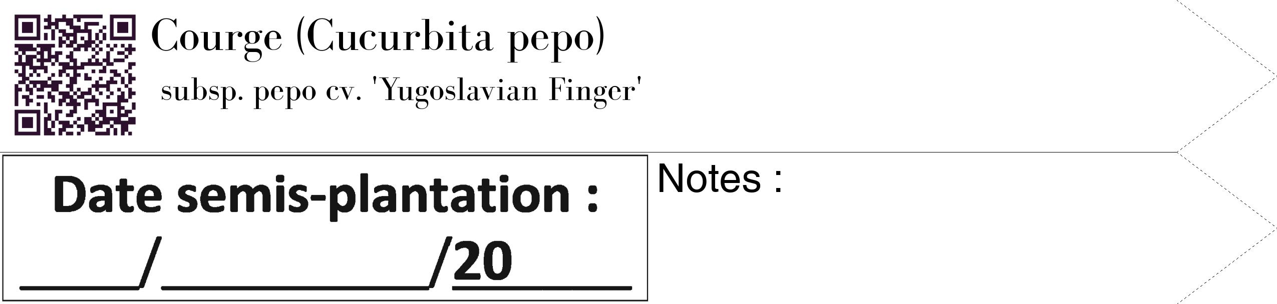 Étiquette de : Cucurbita pepo subsp. pepo cv. 'Yugoslavian Finger' - format c - style noire60_simple_simplebod avec qrcode et comestibilité
