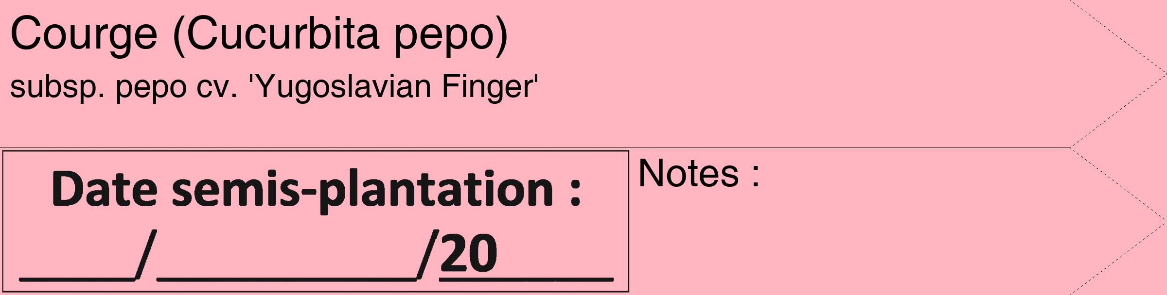 Étiquette de : Cucurbita pepo subsp. pepo cv. 'Yugoslavian Finger' - format c - style noire41_simple_simplehel avec comestibilité