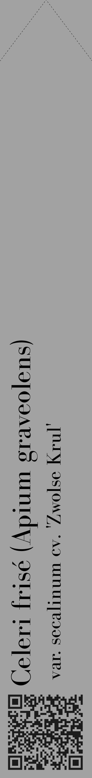 Étiquette de : Apium graveolens var. secalinum cv. 'Zwolse Krul' - format c - style noire38_simple_simplebod avec qrcode et comestibilité - position verticale