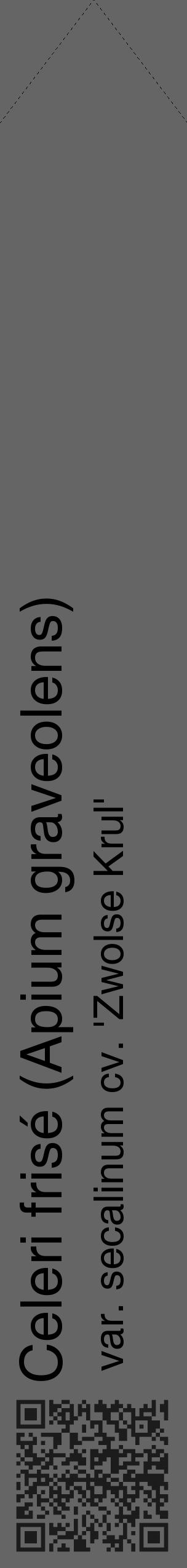Étiquette de : Apium graveolens var. secalinum cv. 'Zwolse Krul' - format c - style noire32_simple_simplehel avec qrcode et comestibilité - position verticale