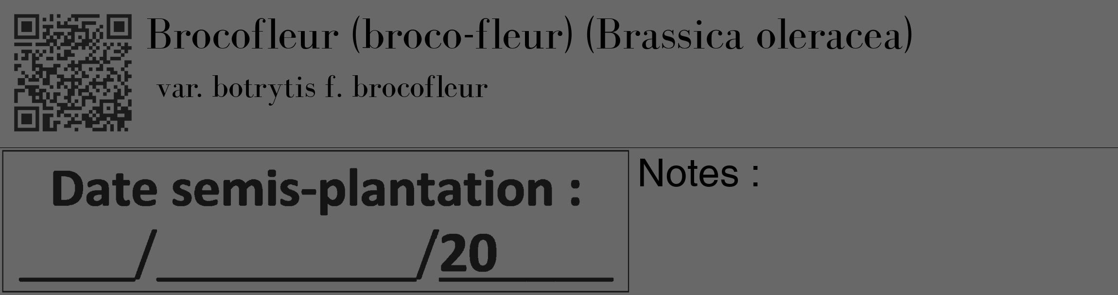 Étiquette de : Brassica oleracea var. botrytis f. brocofleur - format c - style noire43_basique_basiquebod avec qrcode et comestibilité