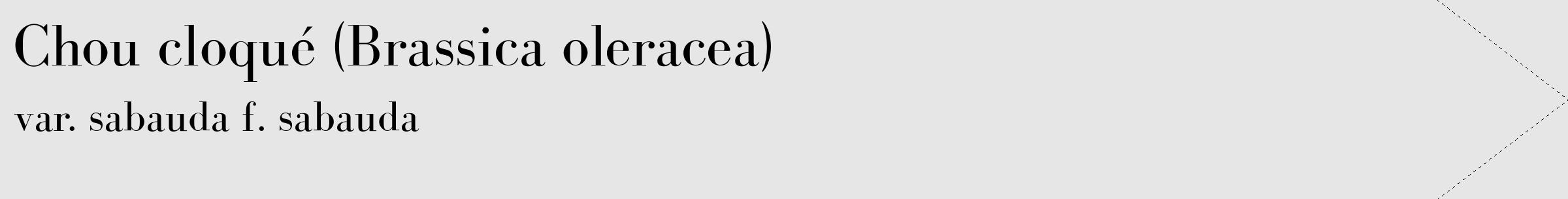 Étiquette de : Brassica oleracea var. sabauda f. sabauda - format c - style noire18_simple_simplebod avec comestibilité