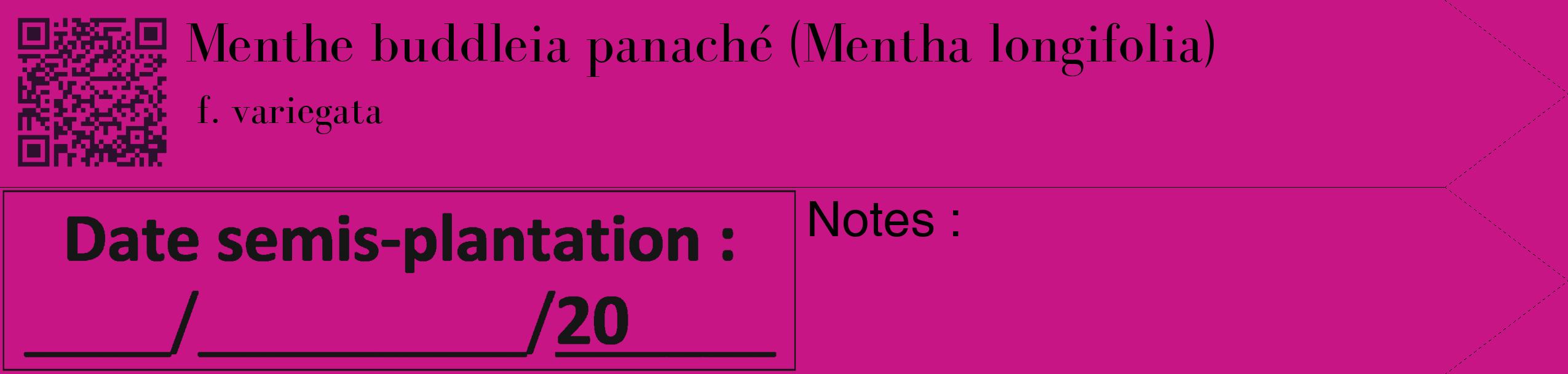 Étiquette de : Mentha longifolia f. variegata - format c - style noire45_simple_simplebod avec qrcode et comestibilité