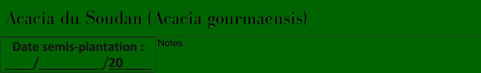 Étiquette de : Acacia gourmaensis - format a - style noire8bod avec comestibilité