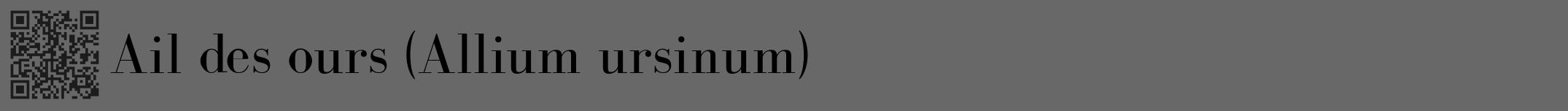 Étiquette de : Allium ursinum - format a - style noire43bod avec qrcode et comestibilité
