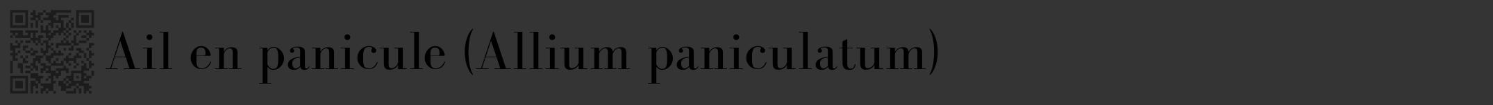 Étiquette de : Allium paniculatum - format a - style noire46bod avec qrcode et comestibilité