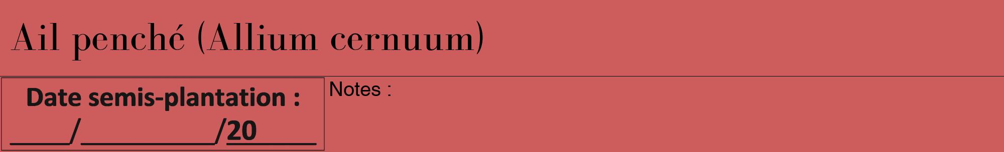 Étiquette de : Allium cernuum - format a - style noire35bod avec comestibilité