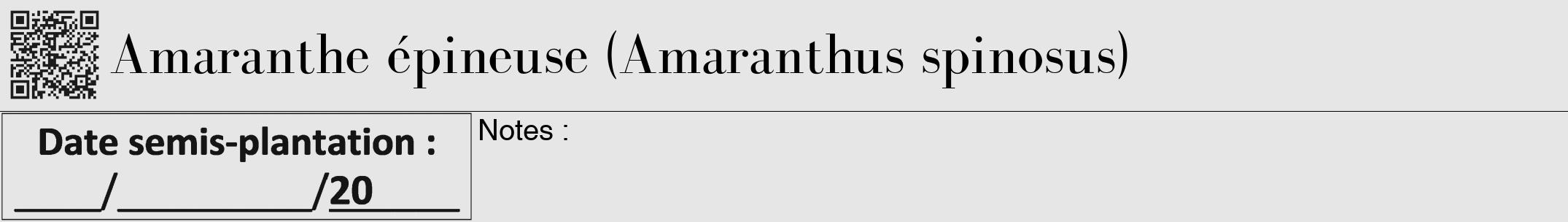 Étiquette de : Amaranthus spinosus - format a - style noire18bod avec qrcode et comestibilité