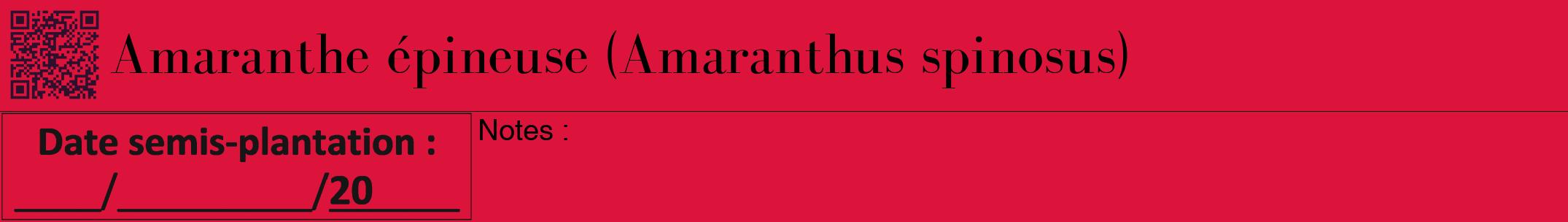 Étiquette de : Amaranthus spinosus - format a - style noire36bod avec qrcode et comestibilité