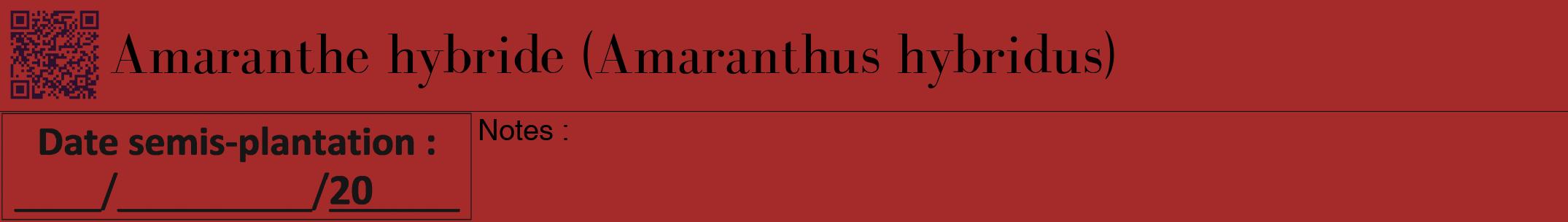 Étiquette de : Amaranthus hybridus - format a - style noire33bod avec qrcode et comestibilité
