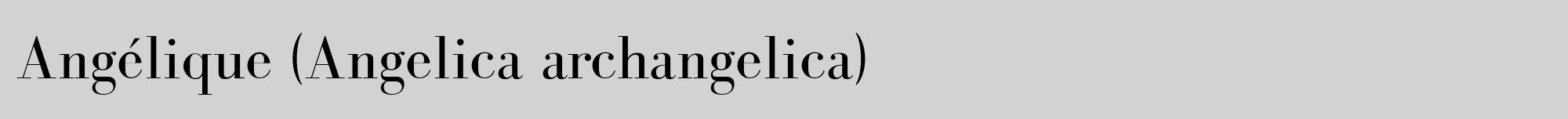 Étiquette de : Angelica archangelica - format a - style noire14bod avec comestibilité