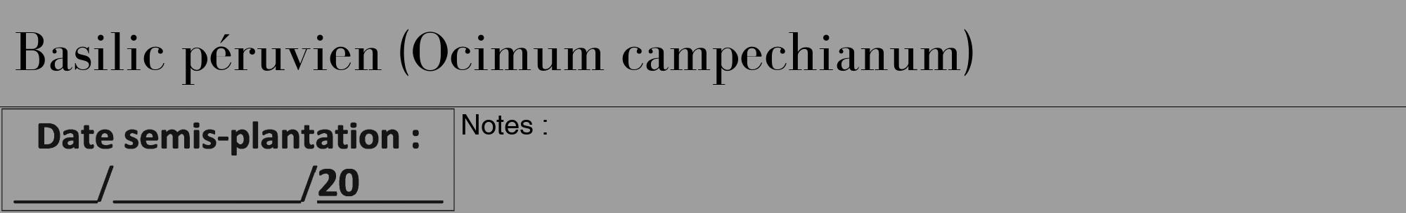 Étiquette de : Ocimum campechianum - format a - style noire23bod avec comestibilité