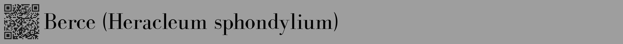 Étiquette de : Heracleum sphondylium - format a - style noire42bod avec qrcode et comestibilité
