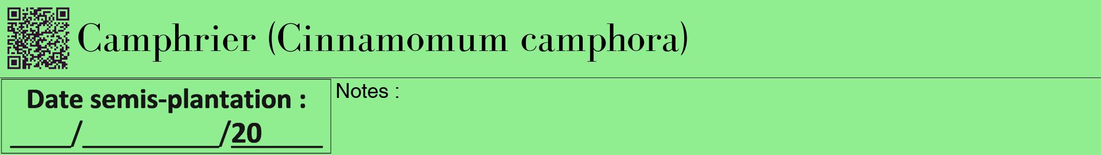 Étiquette de : Cinnamomum camphora - format a - style noire15bod avec qrcode et comestibilité