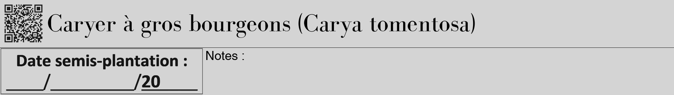 Étiquette de : Carya tomentosa - format a - style noire40bod avec qrcode et comestibilité