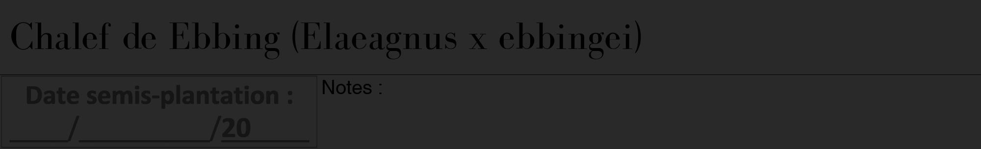 Étiquette de : Elaeagnus x ebbingei - format a - style noire34bod avec comestibilité