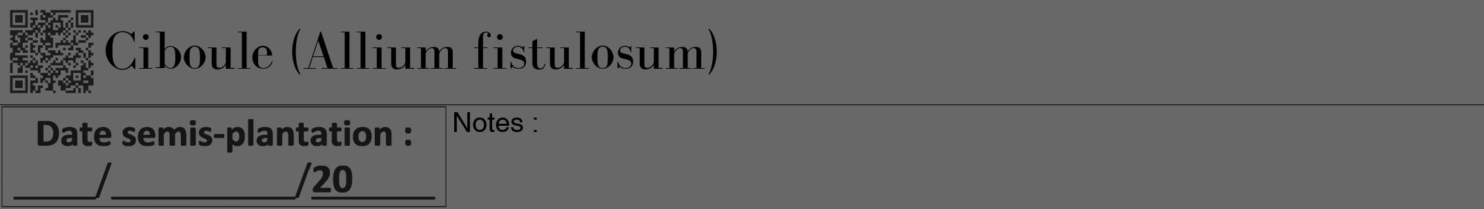 Étiquette de : Allium fistulosum - format a - style noire43bod avec qrcode et comestibilité