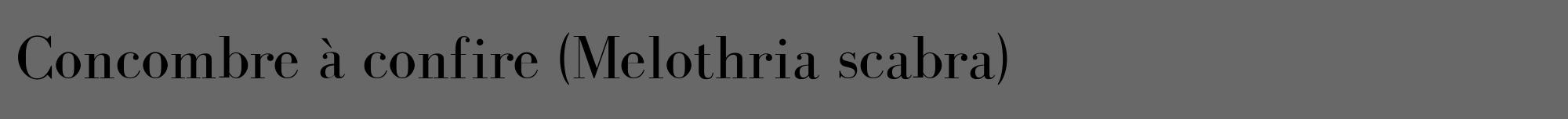 Étiquette de : Melothria scabra - format a - style noire6bod avec comestibilité