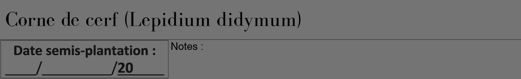 Étiquette de : Lepidium didymum - format a - style noire26bod avec comestibilité