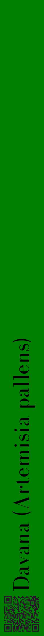 Étiquette de : Artemisia pallens - format a - style noire9bod avec qrcode et comestibilité