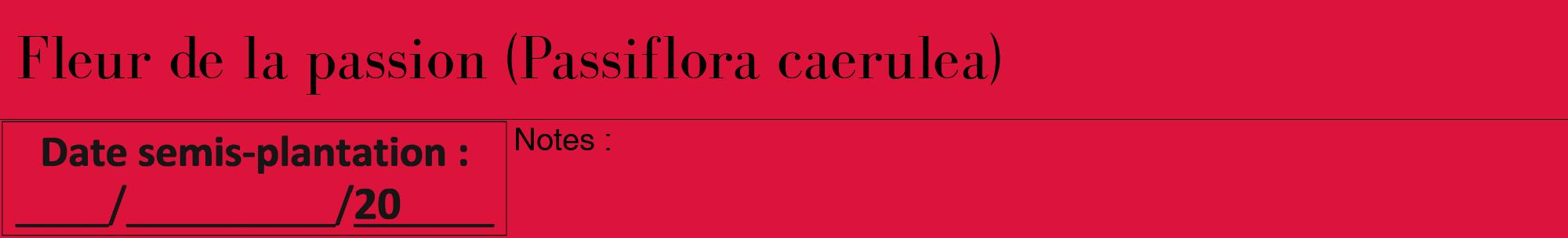 Étiquette de : Passiflora caerulea - format a - style noire36bod avec comestibilité