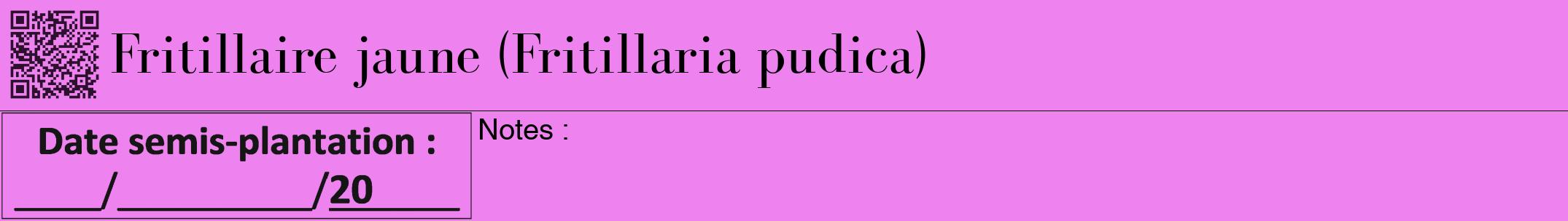 Étiquette de : Fritillaria pudica - format a - style noire53bod avec qrcode et comestibilité