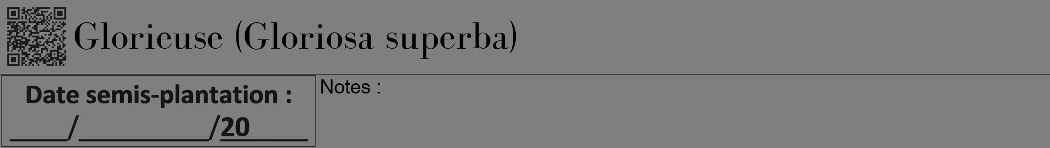 Étiquette de : Gloriosa superba - format a - style noire31bod avec qrcode et comestibilité