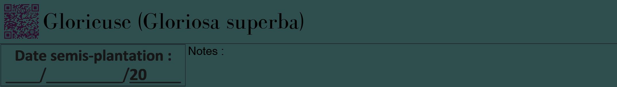 Étiquette de : Gloriosa superba - format a - style noire58bod avec qrcode et comestibilité