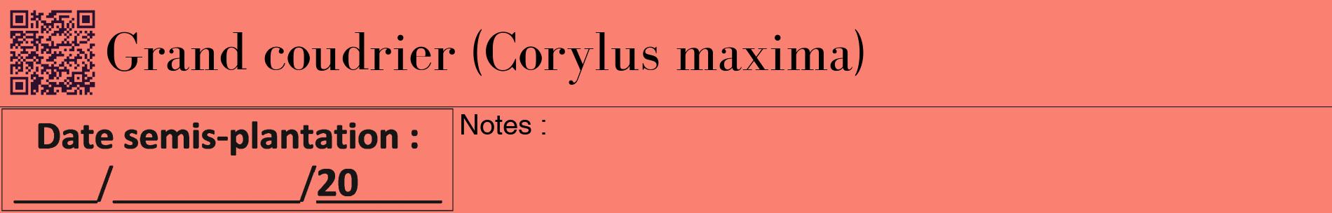 Étiquette de : Corylus maxima - format a - style noire38basiquebod avec qrcode et comestibilité
