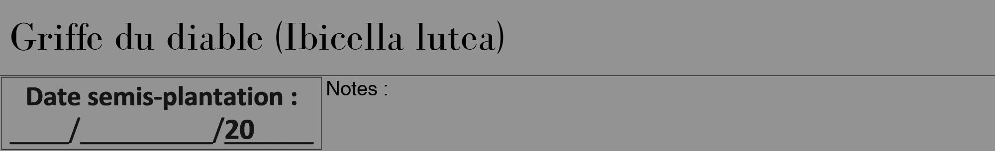 Étiquette de : Ibicella lutea - format a - style noire44bod avec comestibilité