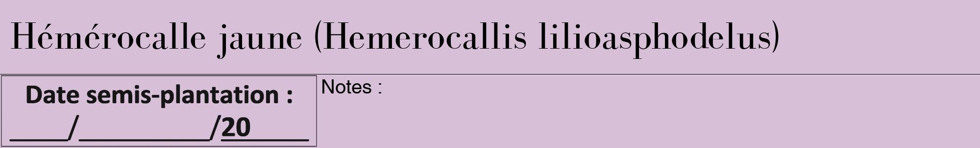 Étiquette de : Hemerocallis lilioasphodelus - format a - style noire54bod avec comestibilité