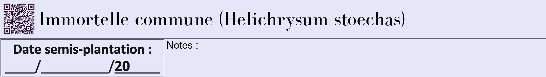Étiquette de : Helichrysum stoechas - format a - style noire55bod avec qrcode et comestibilité